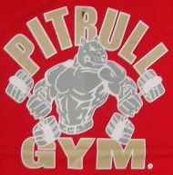 Fitness T-shirt, Red /40040403/