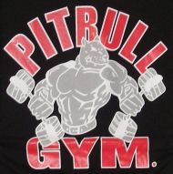 Fitness T-shirt, Black /40040404/