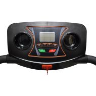 Electric treadmill MAXIMA /310415/