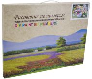 Комплект за рисуване по номера с платно 50х40 см, Модел 59 /27014659/